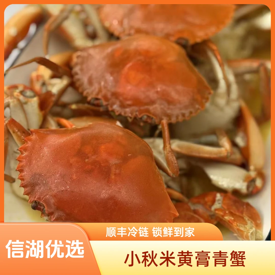 信湖优选10只装秋米野生螃蟹鲜活发货特大螃蟹海鲜水产品正宗青蟹