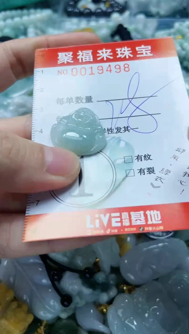 【闪购商品】翡翠颈饰未镶嵌闪购0019498