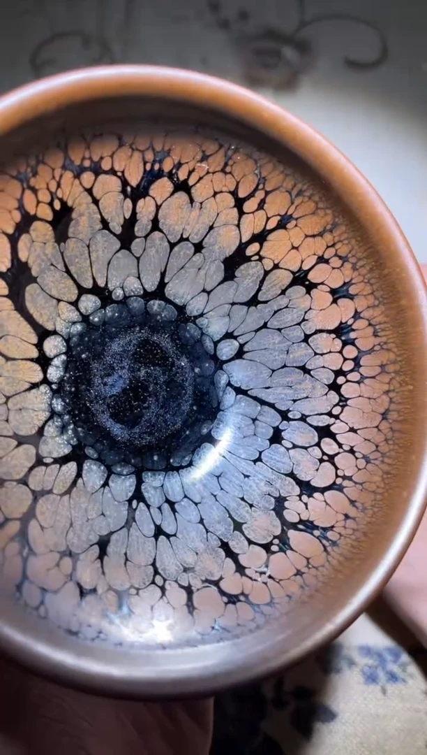 茶盏古鸟鹧鸪第1人杨敏宝盏2