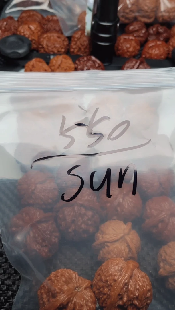 文玩核桃把件0509-皮带- Sun