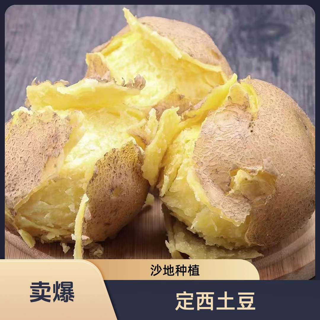 甘肃定西沙面土豆净重9斤