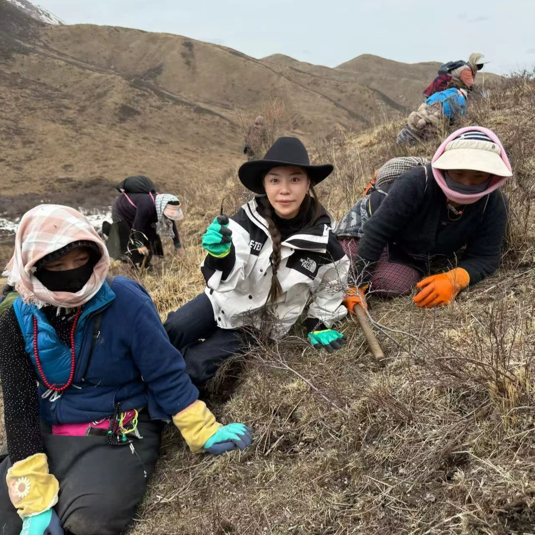 【阿妹专属】0.6-0.8中草 2025头期新鲜冬虫夏草冰鲜冷链速达