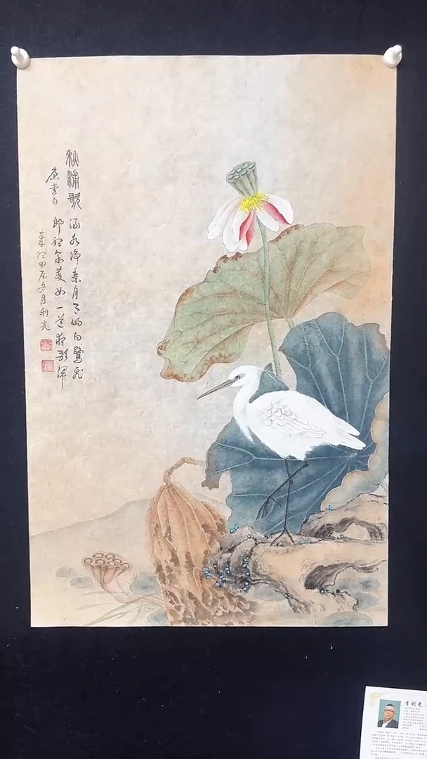【闪购商品】国画工笔花鸟白鹭