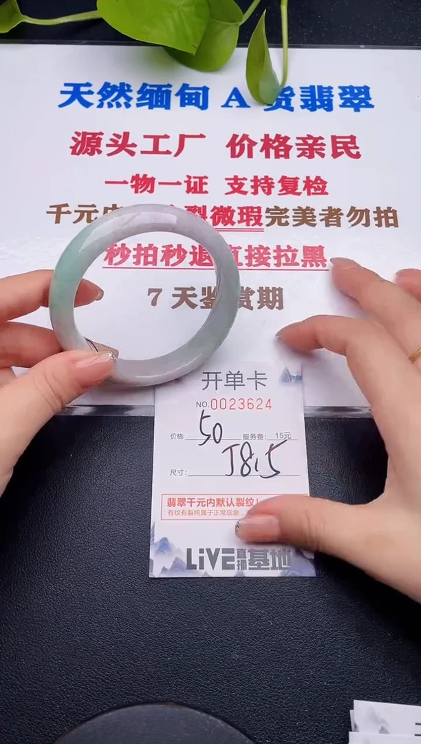 未镶嵌手镯翡翠24