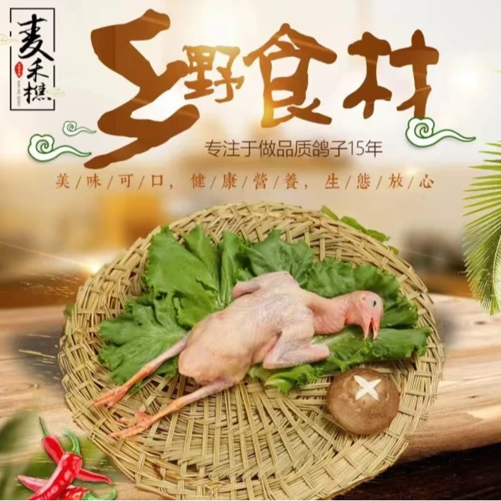 沂蒙山杂粮土鸽子活鸽宰杀顺丰发货5-7