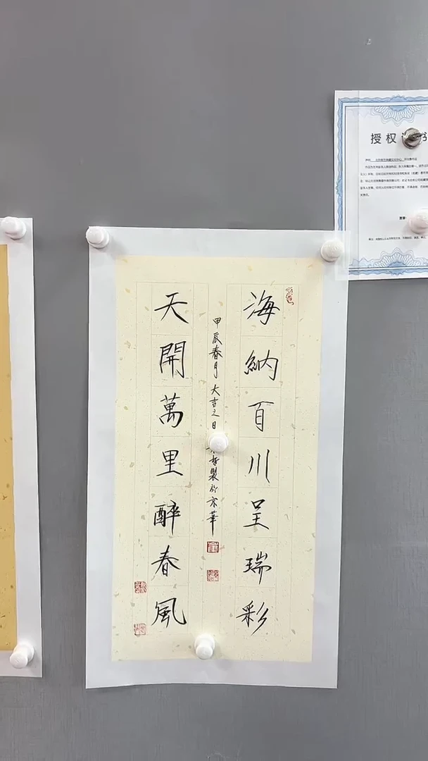 【闪购商品】书法雅艺典藏文化书法