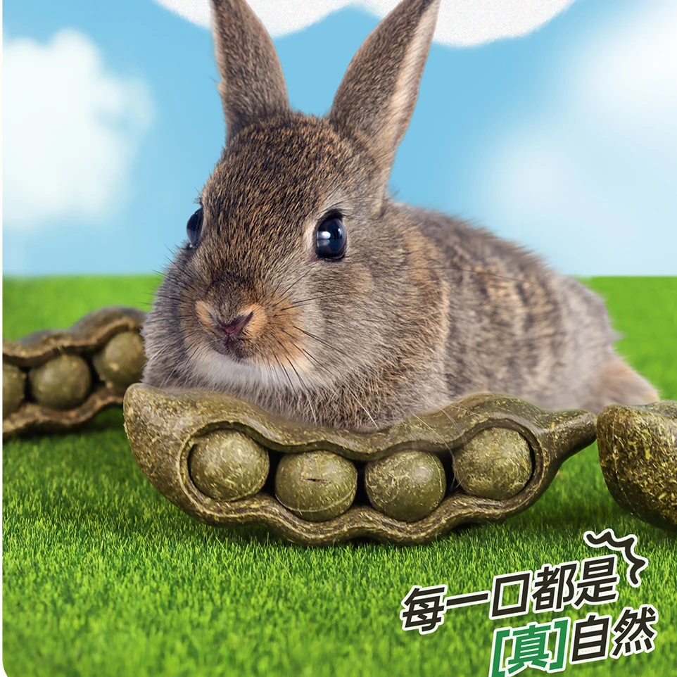 TEEWY/萃微益【北美金奖】兔子豌豆荚磨牙造景零食用品
