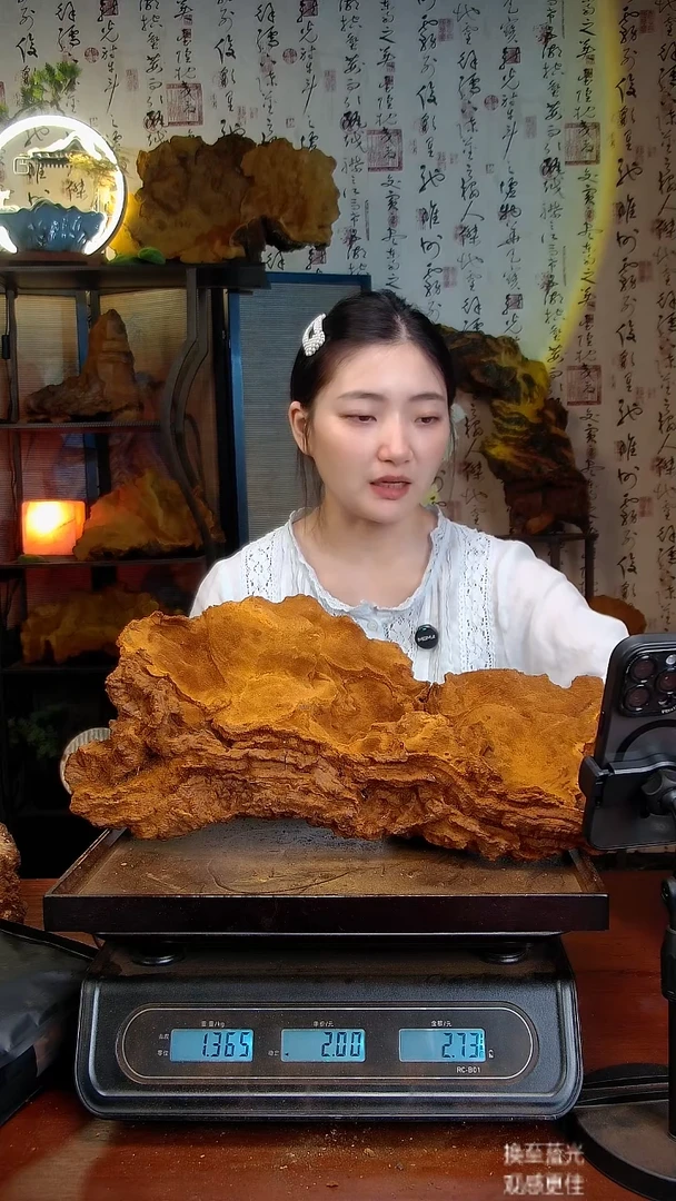 松针层孔菌中国大陆【藏区】松树桑黄（2.73斤）30-40年份
