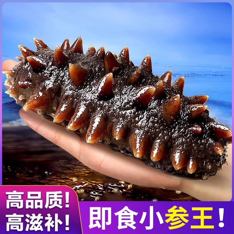中秋特惠9-12头500g即食海参营养健康品质保证
