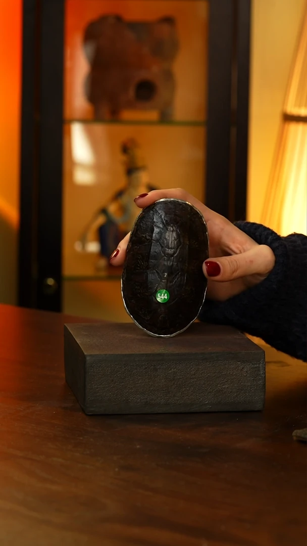 龟壳锡茶则...544