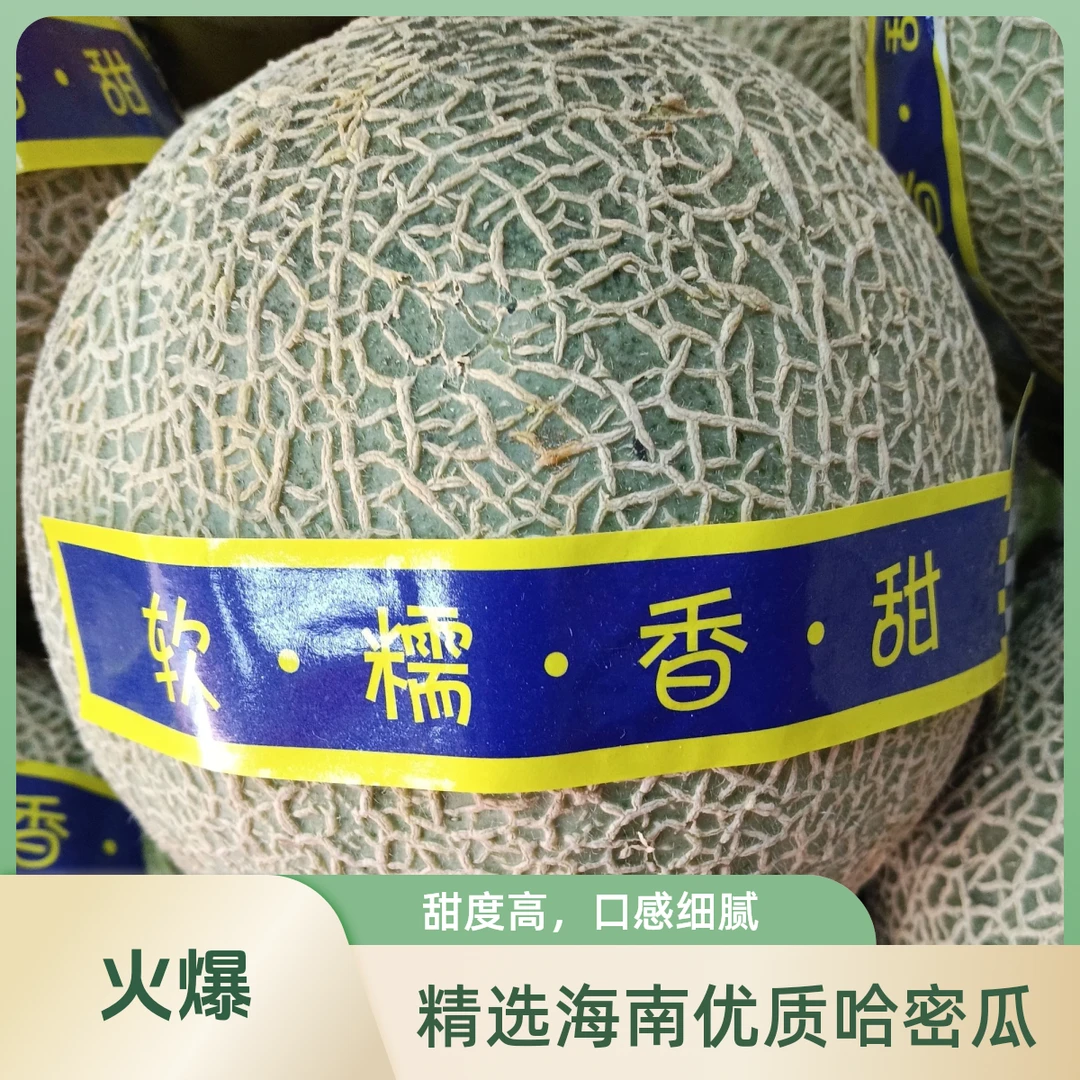 海南糖蛋蛋哈密瓜单个二斤三两左右