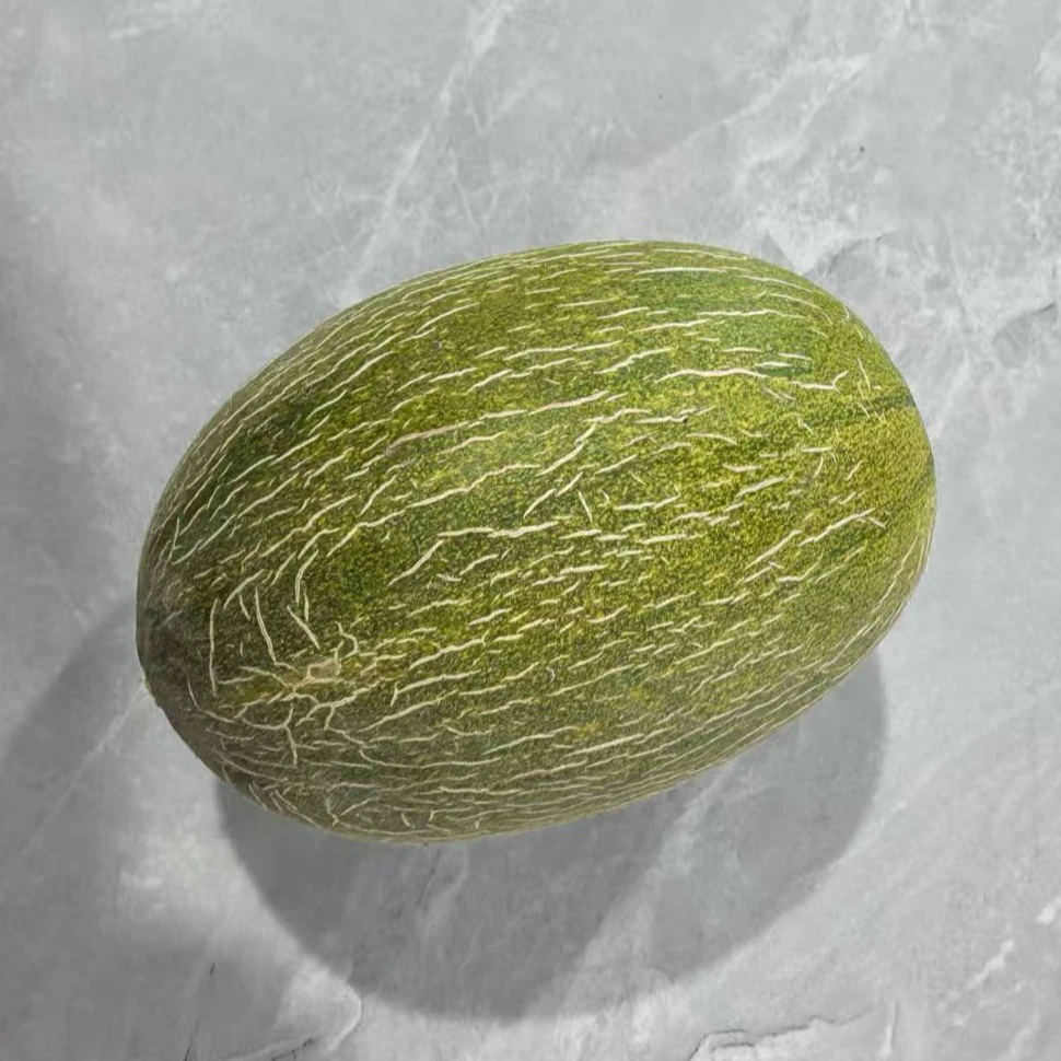 新鲜采摘哈密瓜香甜多汁