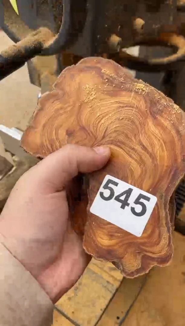 柏木（崖柏）太行陈化崖柏切片一块（津诚林）545