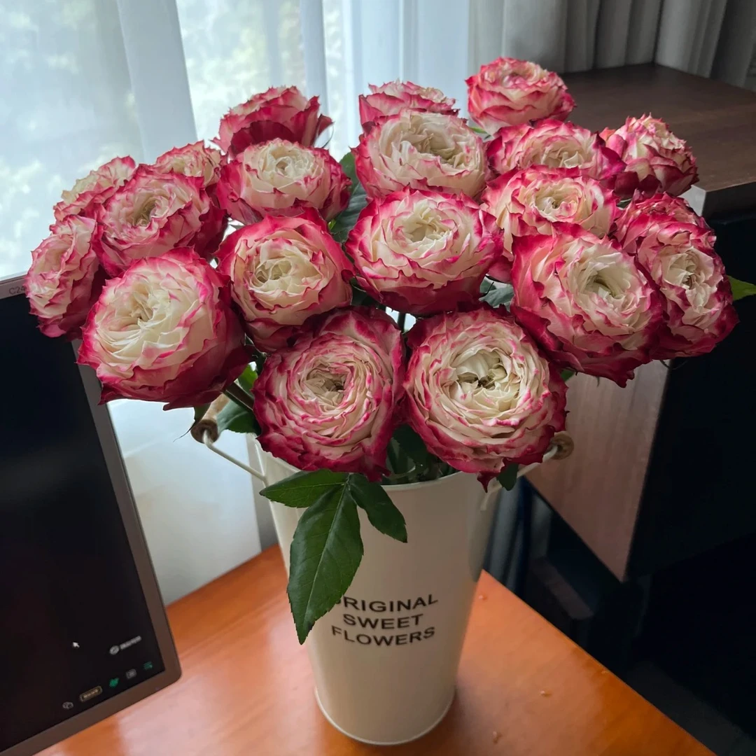 买10枝送10枝【20枝苹果杰克】全场鲜花任意满2单升级顺丰包邮
