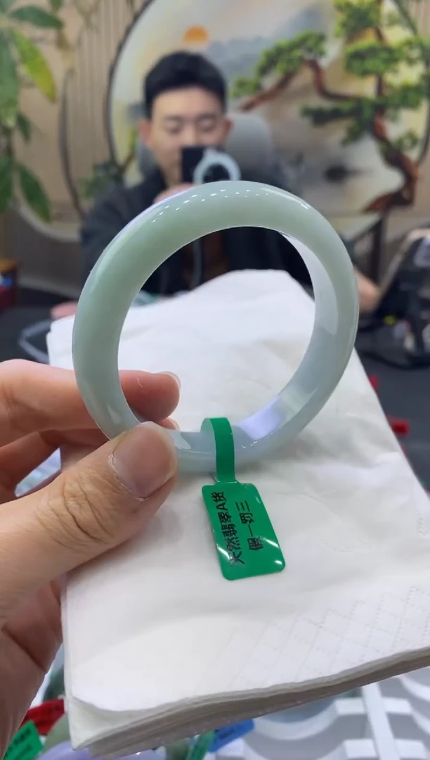 未镶嵌手镯翡翠9019