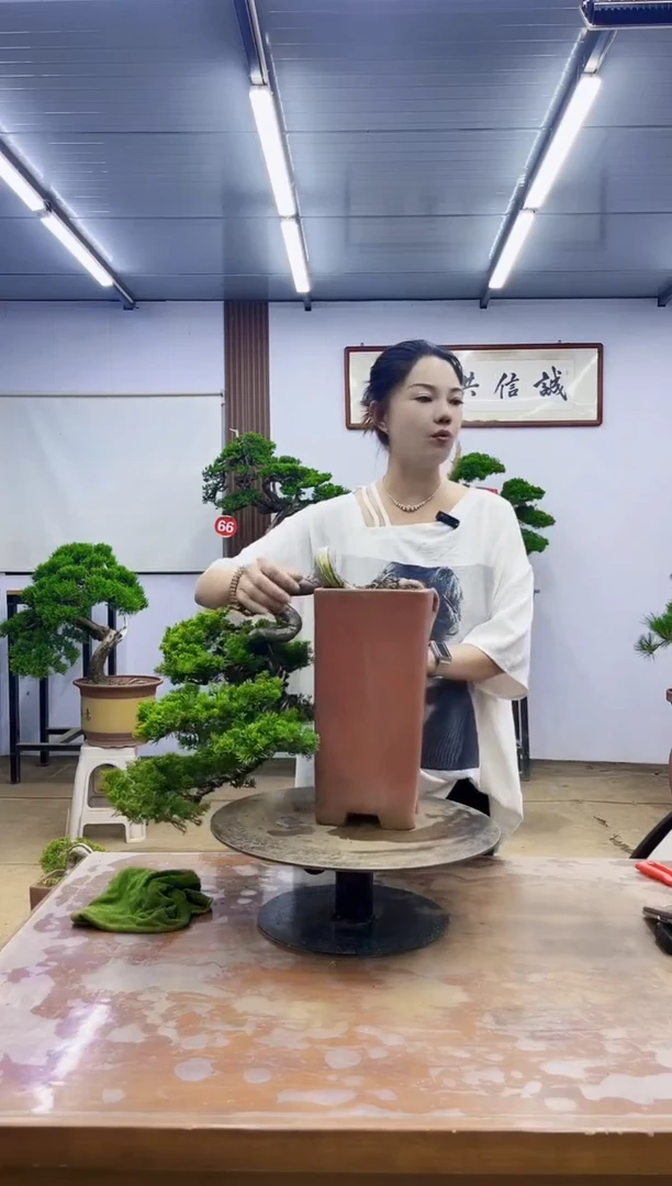 无*碍000000000000