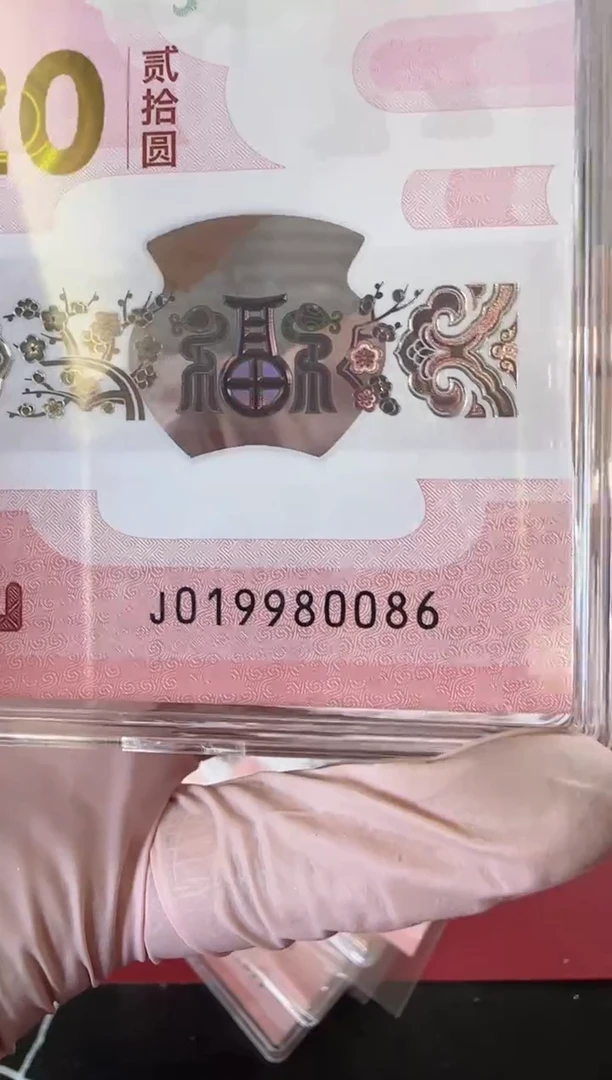 【闪购商品】塑料2025蛇钞单张裸啊啊啊啊啊啊