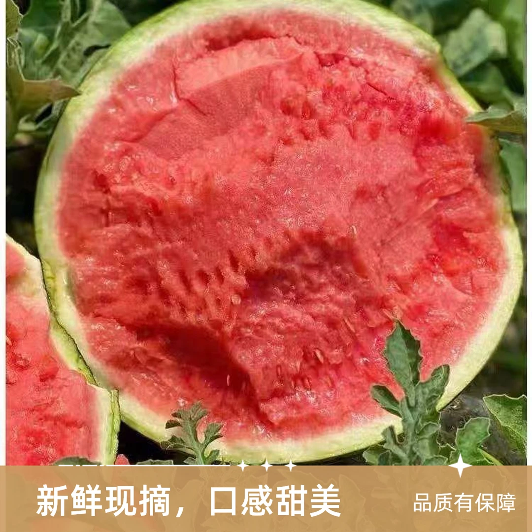 【次日达】无籽麒麟瓜 正宗美都麒麟瓜4-5斤西瓜 新鲜采摘脆甜爆汁云南省