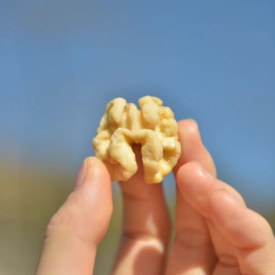 有机认证蜂蜜核桃仁清甜酥脆颗颗饱满粒粒回甘云南漾濞县