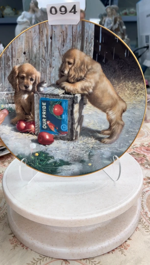 杯4 中古 赏盘