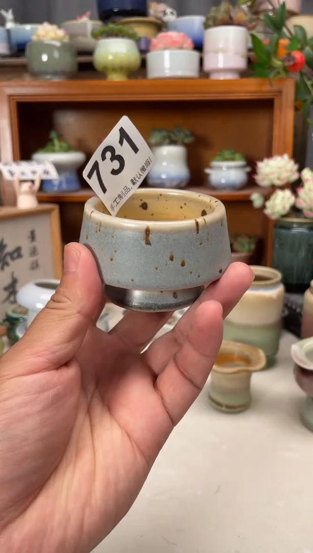 瓷片731知木花盆小芳
