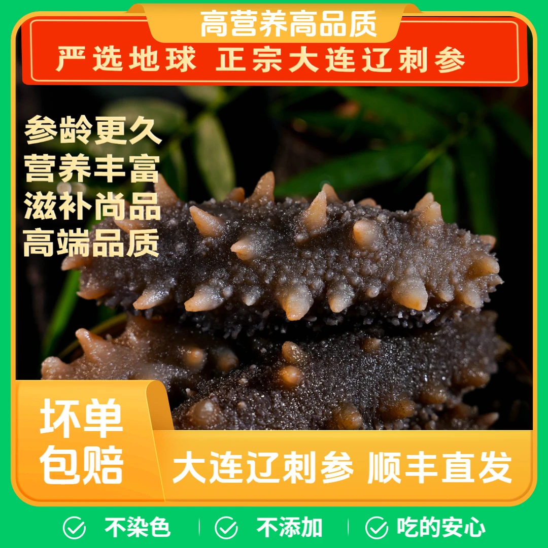 4-10头肉质肥厚 大连即食海参  Q弹口感 活海参捕捞制作 不染色