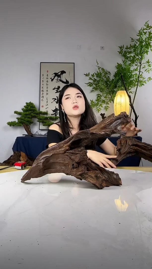 秋****?拍这个定向编号95