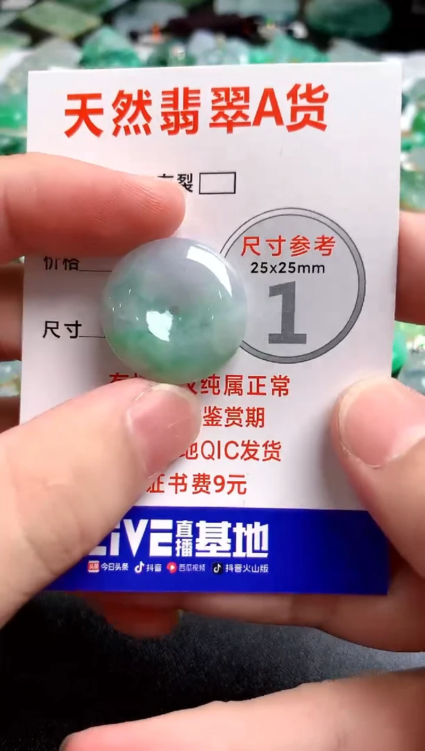 翡翠未镶嵌颈饰14003231