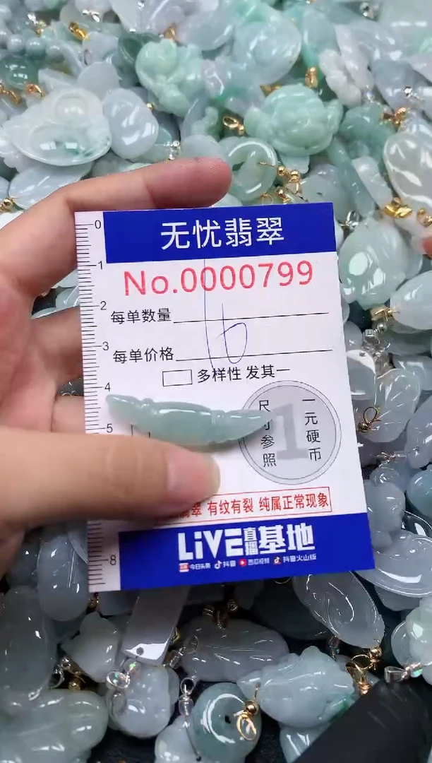 颈饰未镶嵌翡翠799