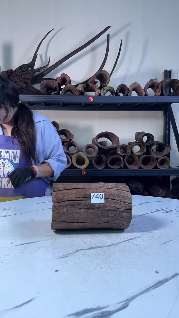 悠*云南紫柚木造景沉木740