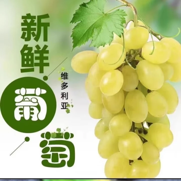 维多利亚葡萄新鲜青提水果葡萄提子净重5斤装葡萄京津冀顺丰次日达河北省