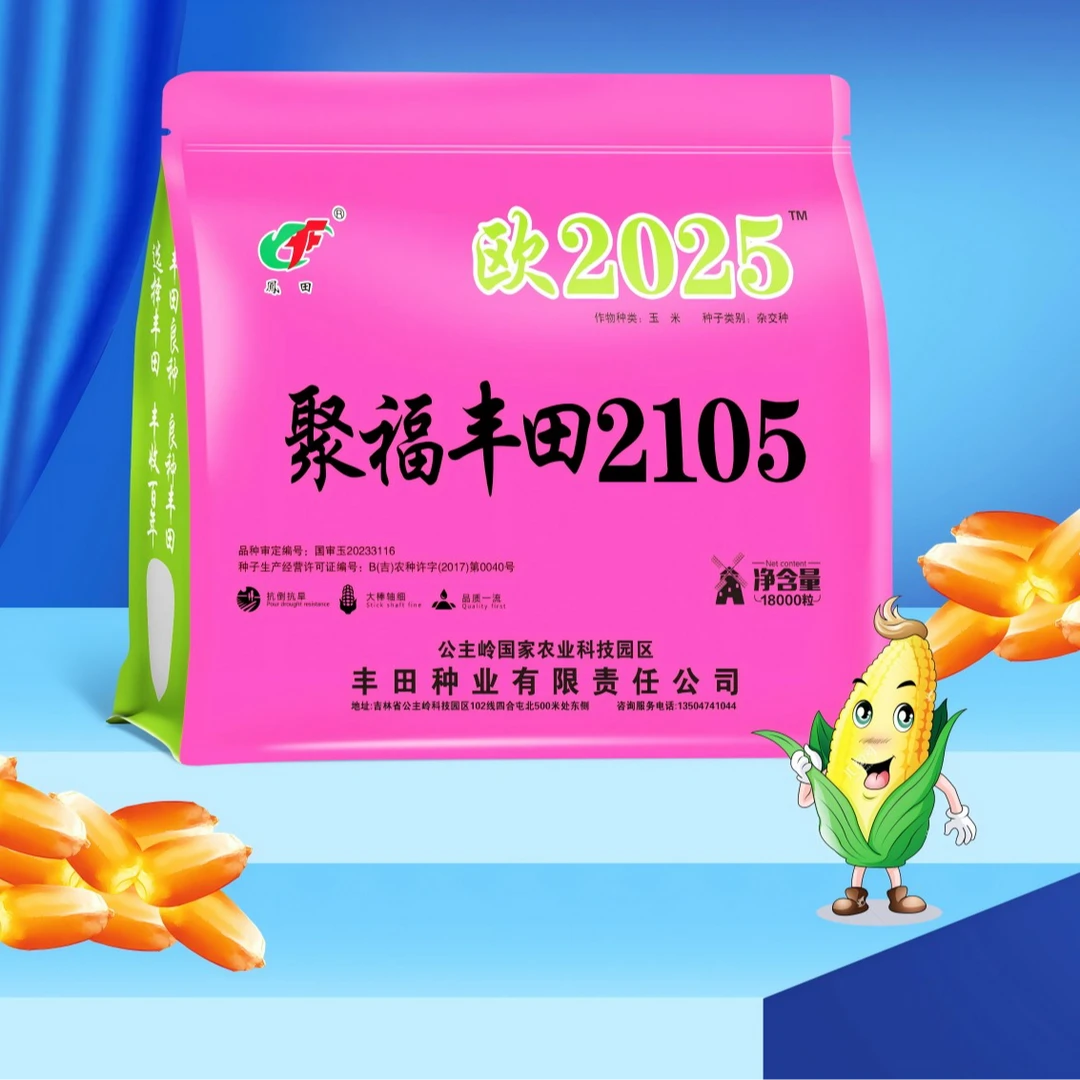 2026年玉米种子欧2025聚福丰田2105