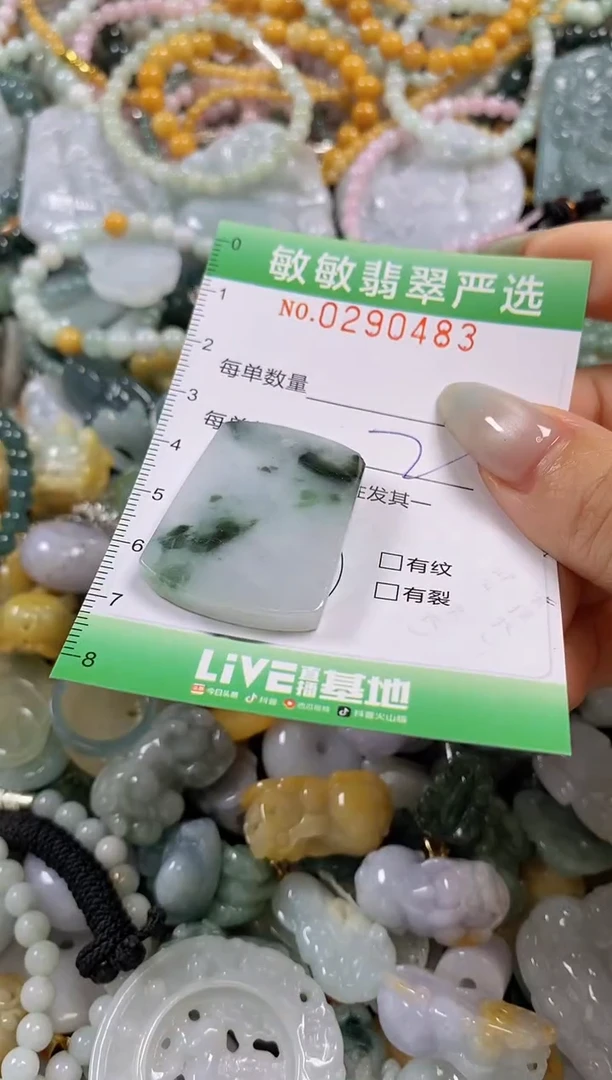 翡翠未镶嵌颈饰闪购0290483