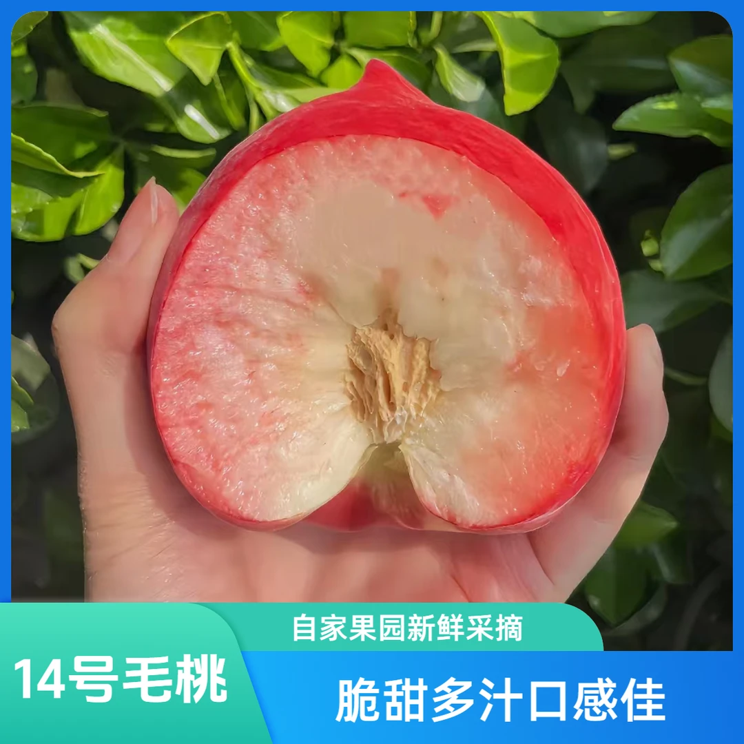 【平谷14号毛桃】14号桃子3-5斤脆甜多汁离核软硬两吃自家果园现采现发京东顺丰包邮到家北京市