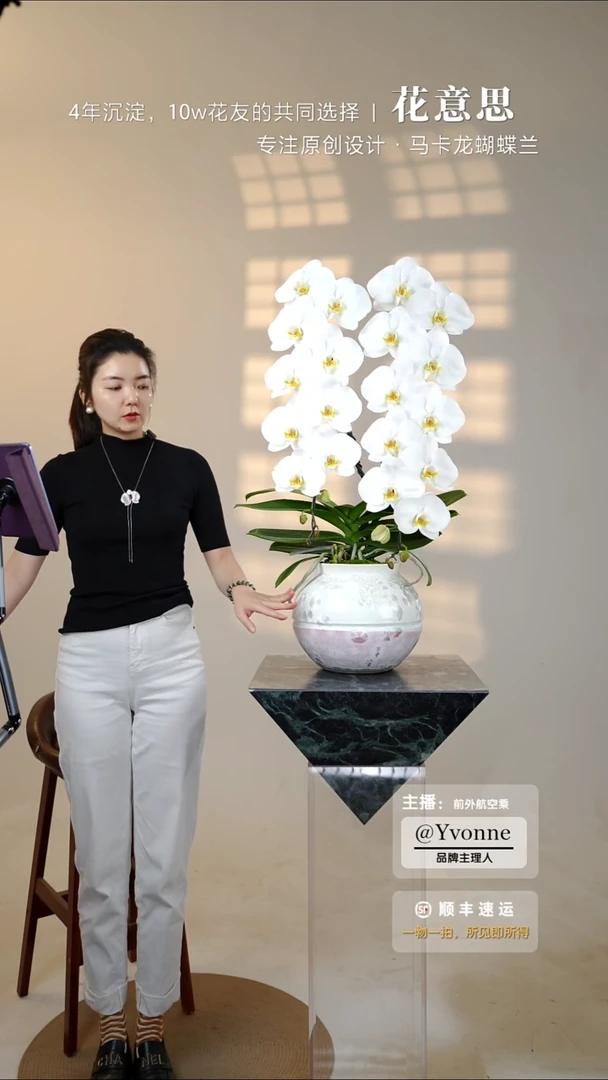 全部花朵036高端创意设计蝴蝶兰