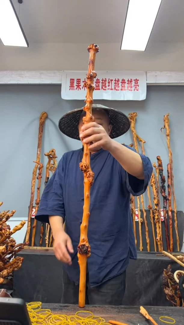 【闪购商品】黑果木其他黑果木021