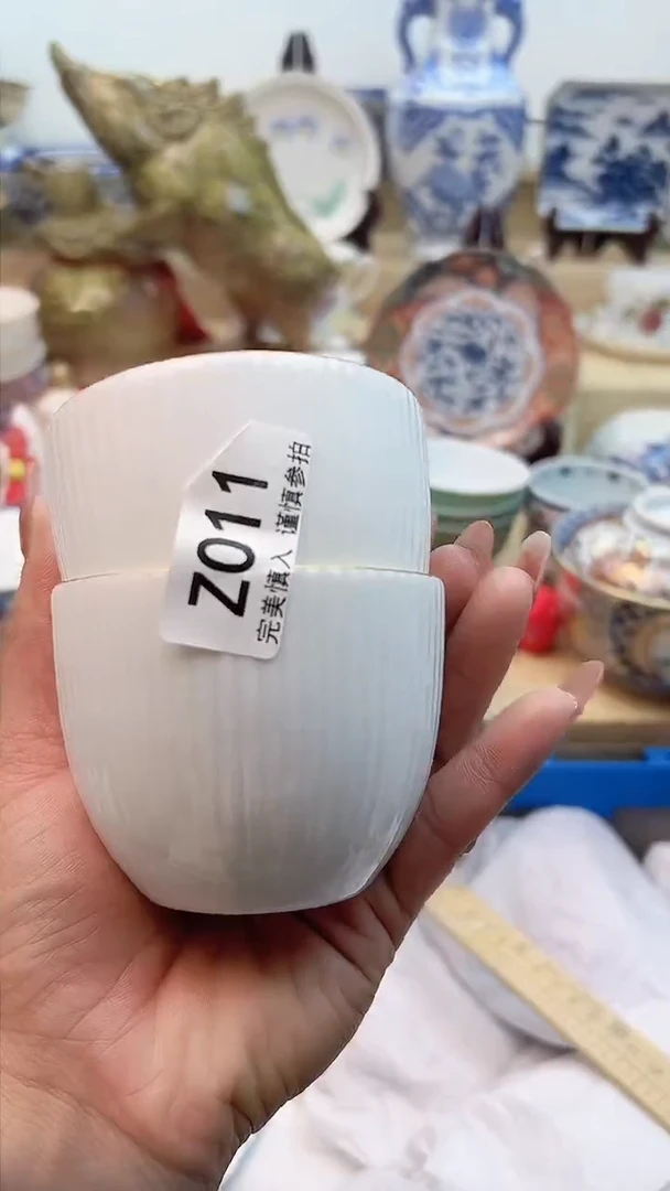 【闪购商品】瓷片011