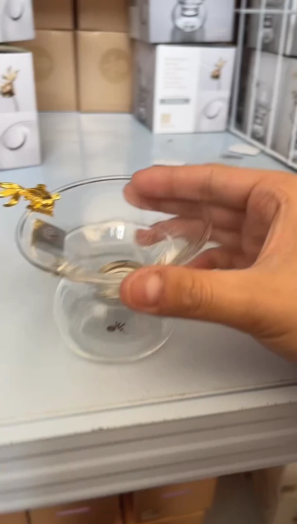 【闪购商品】金鱼款茶漏。。。。。。