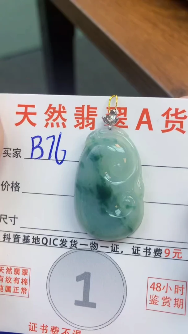 颈饰未镶嵌翡翠天然A货翡翠挂件