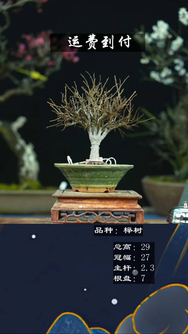 【闪购商品】无铅玻璃78550