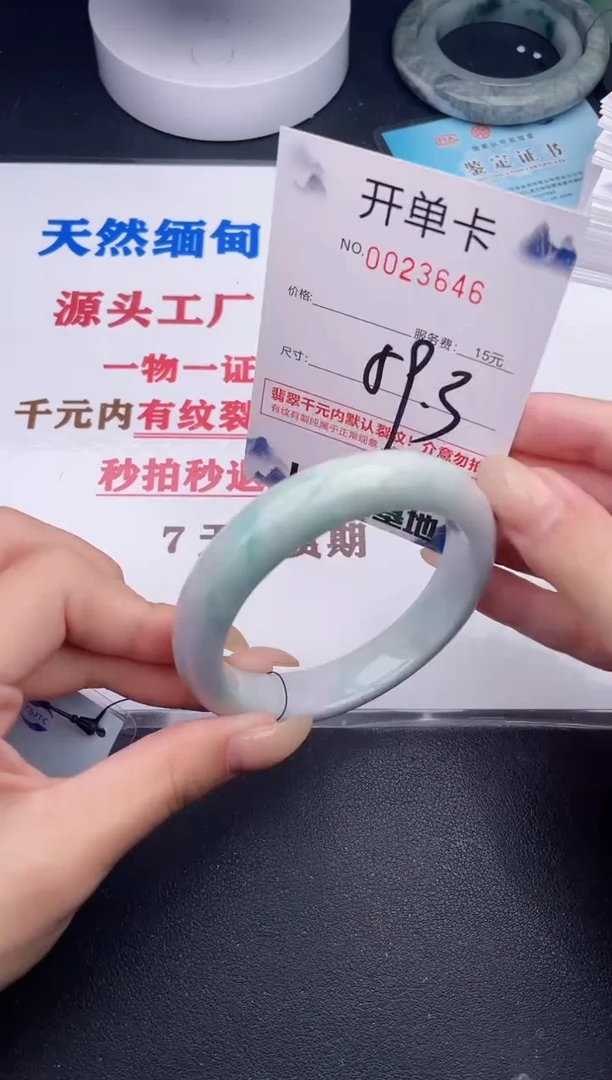 未镶嵌手镯翡翠46
