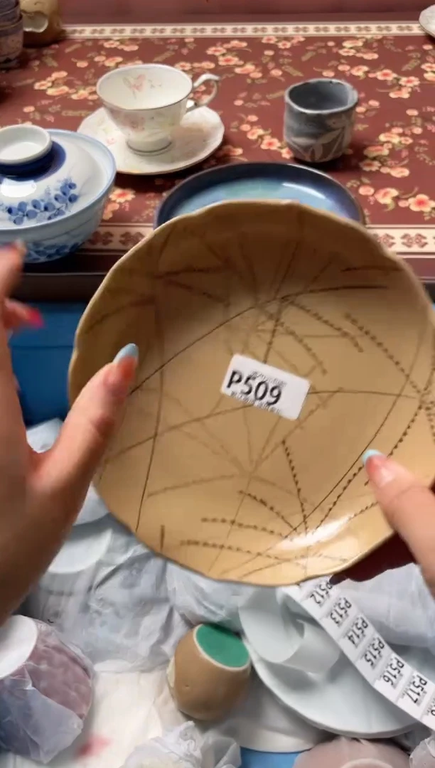 瓷片家**宝瓷器瓷器P509