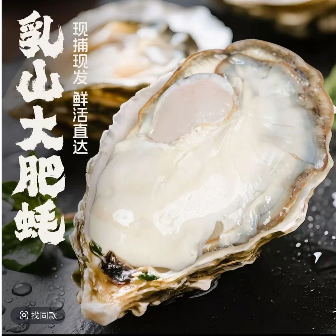 【一霏】乳山生蚝新鲜牡蛎产地直发7+3斤 到手10斤 赠蚝刀