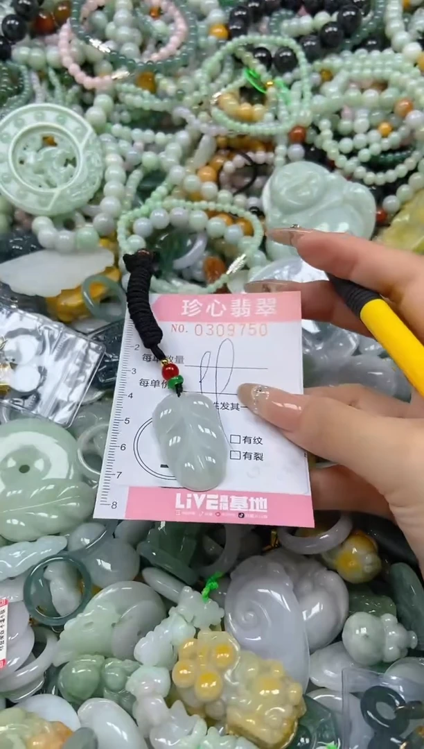 翡翠未镶嵌颈饰闪购0309750