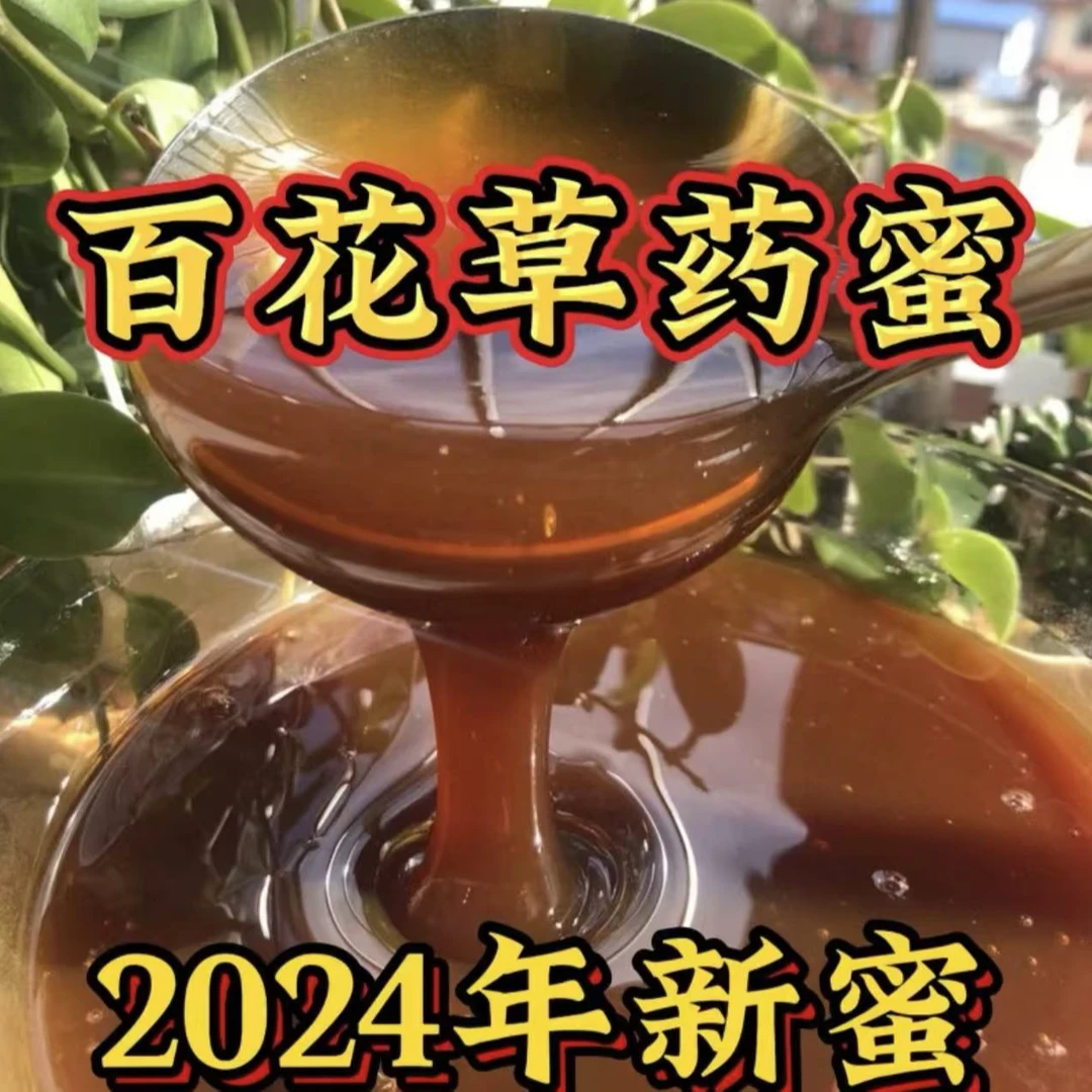乡村表弟专属海拔3000米本草蜜 黄连连翘野党参等花粉武都特产