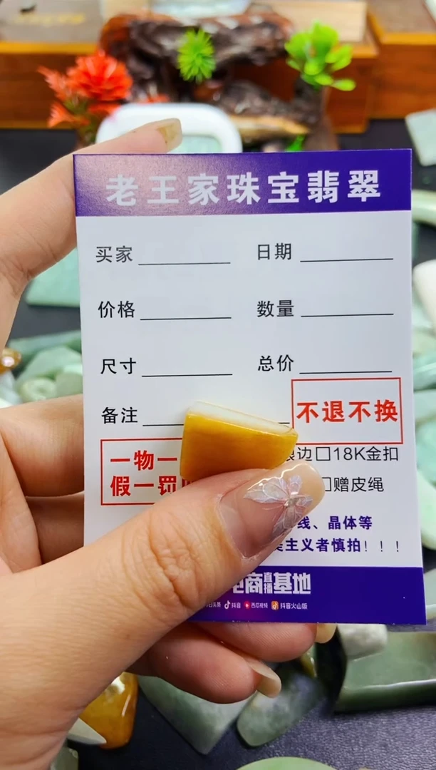 【闪购商品】翡翠颈饰未镶嵌料子