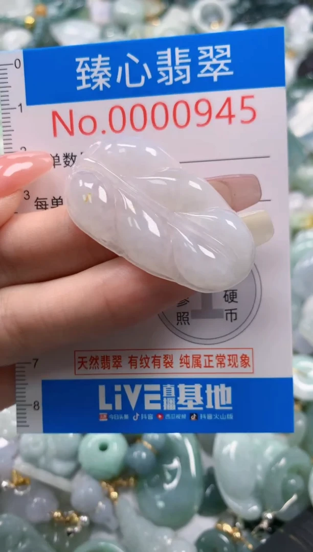 翡翠未镶嵌颈饰945