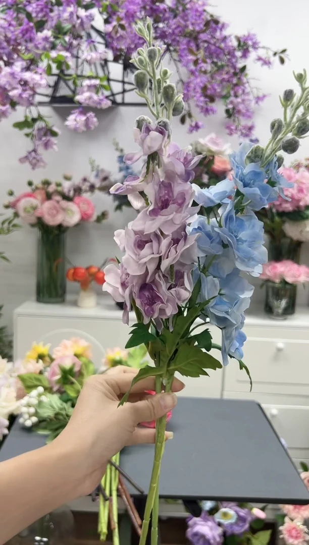 2枝混色手感保湿飞燕