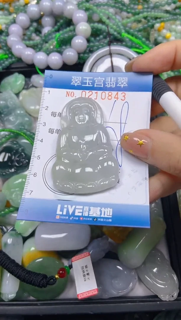 颈饰未镶嵌翡翠闪购C0210843