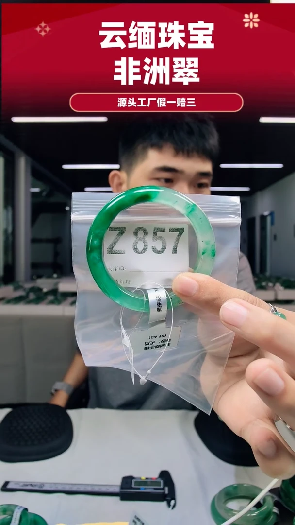 未镶嵌手镯石英质玉（非洲翠）56圈口Z857